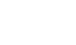 Logo with leaf-like shapes and the word "Blank" in light gray.