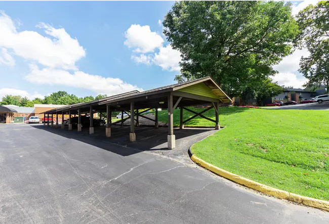 Carport with wood beams, concrete pillars, and asphalt parking area. Green grass and trees in background.