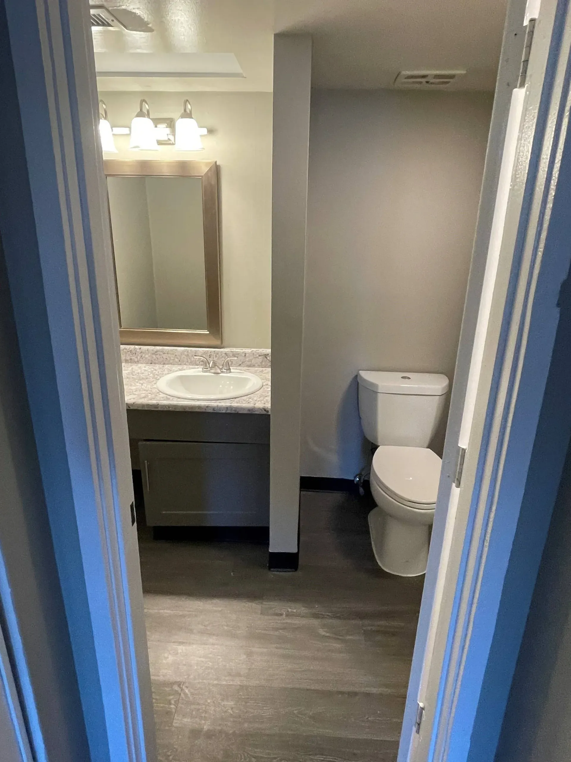 Bathroom with sink, vanity, mirror, and toilet in an apartment unit.