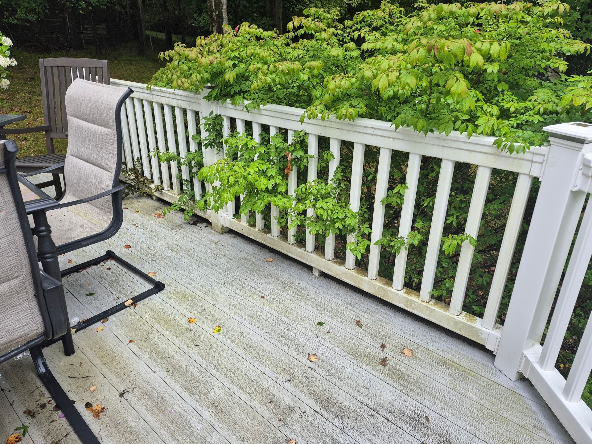 Deck with white railing and green foliage, a chair, and a gray concrete surface.
