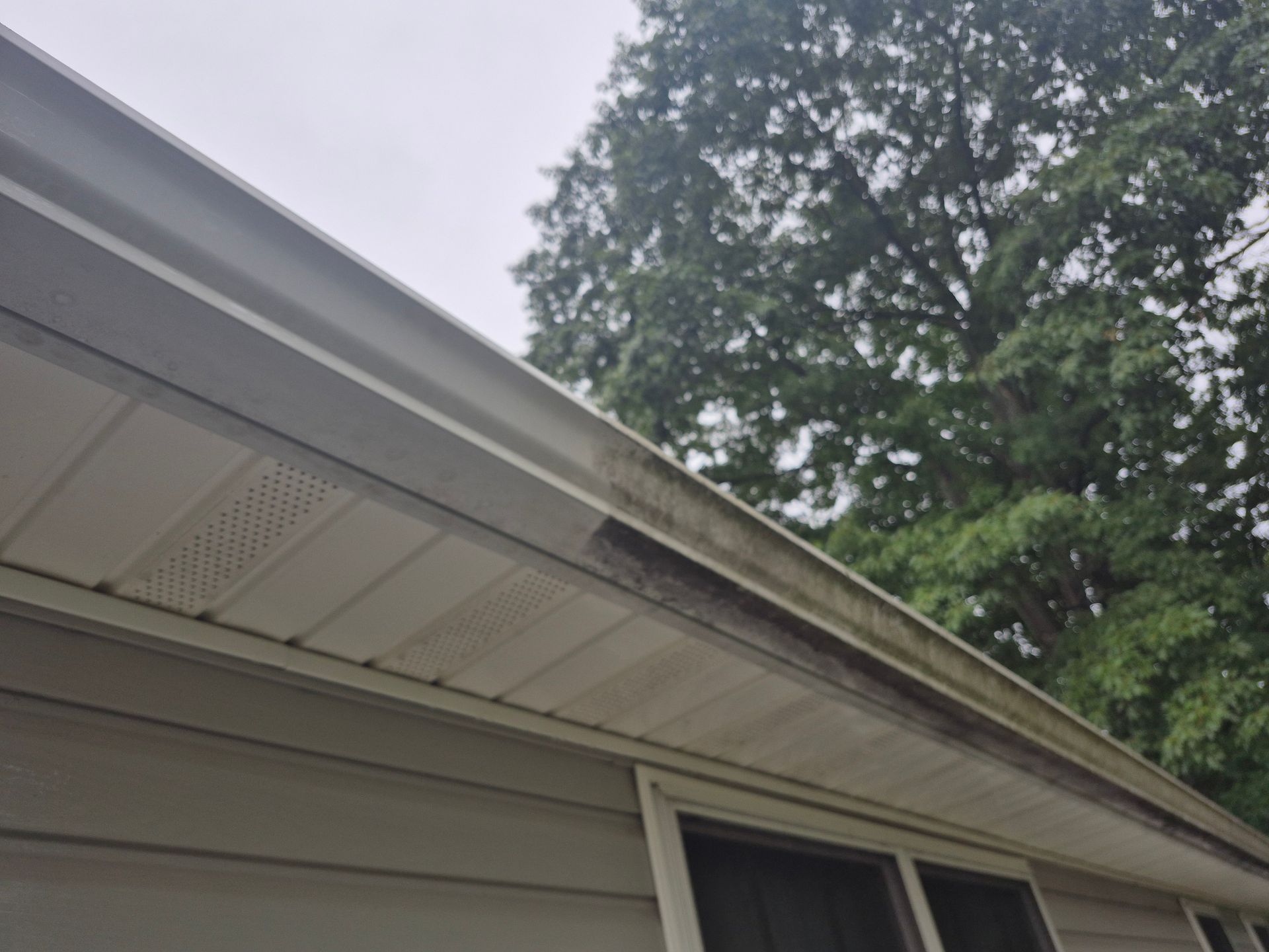 White house gutter with dark stains and algae, set against a backdrop of green trees under a cloudy sky.