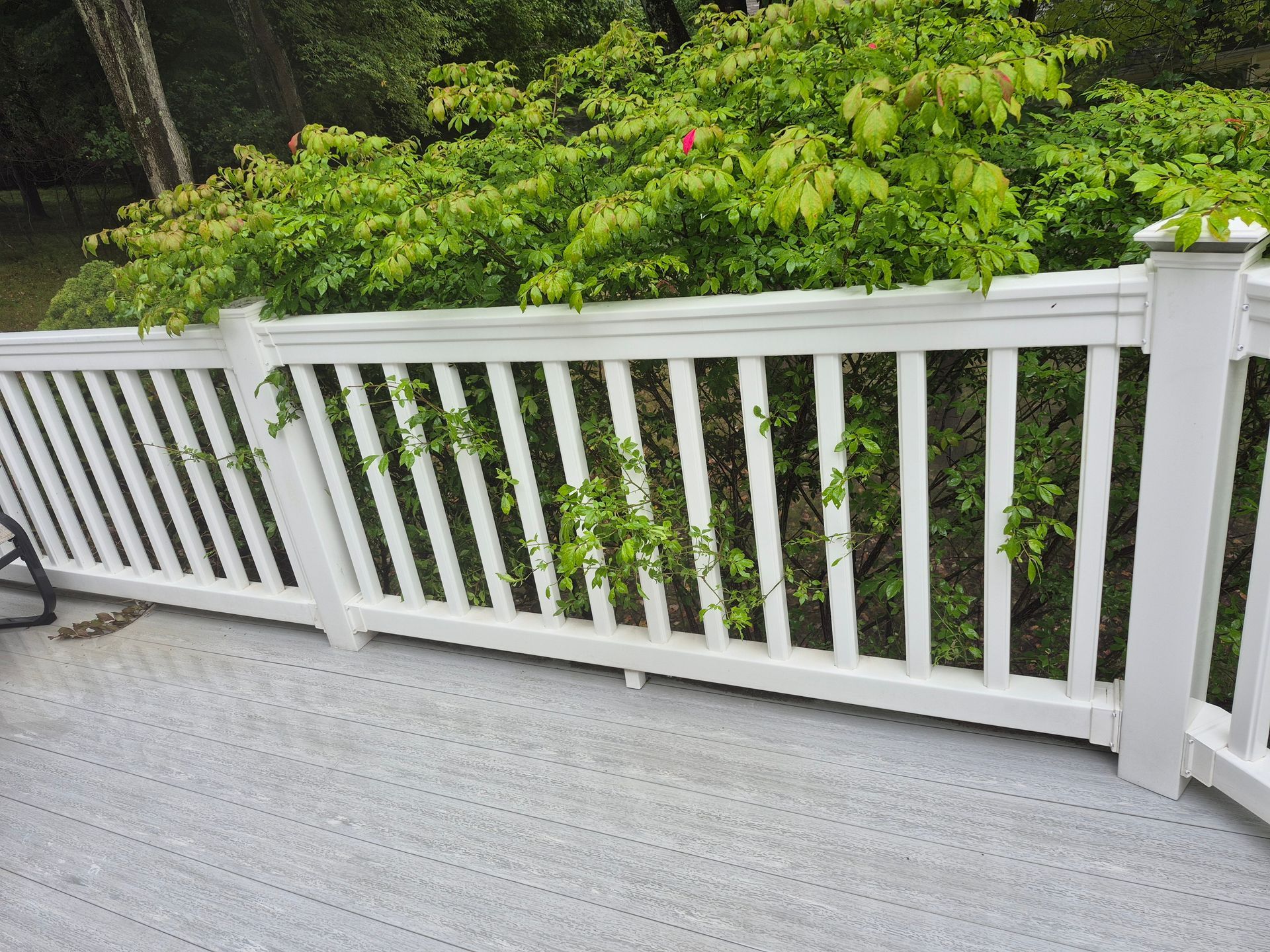 White deck railing with green foliage behind it.