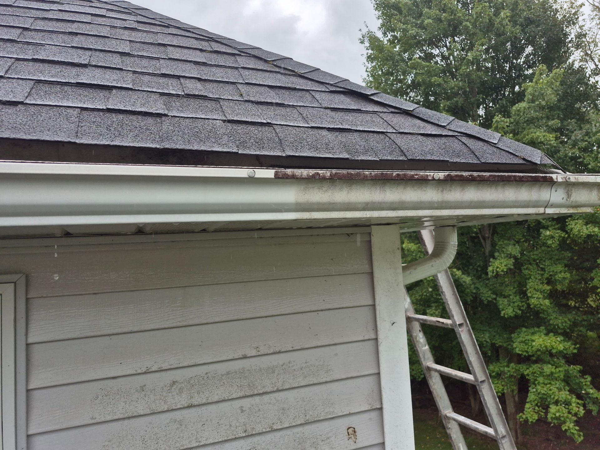 Gutter on a house roof is filled with debris, with a ladder leaning against the siding.