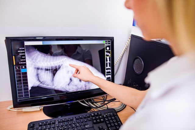 Radiology Tech Program | Nashville, TN | NGH School of Health Sciences