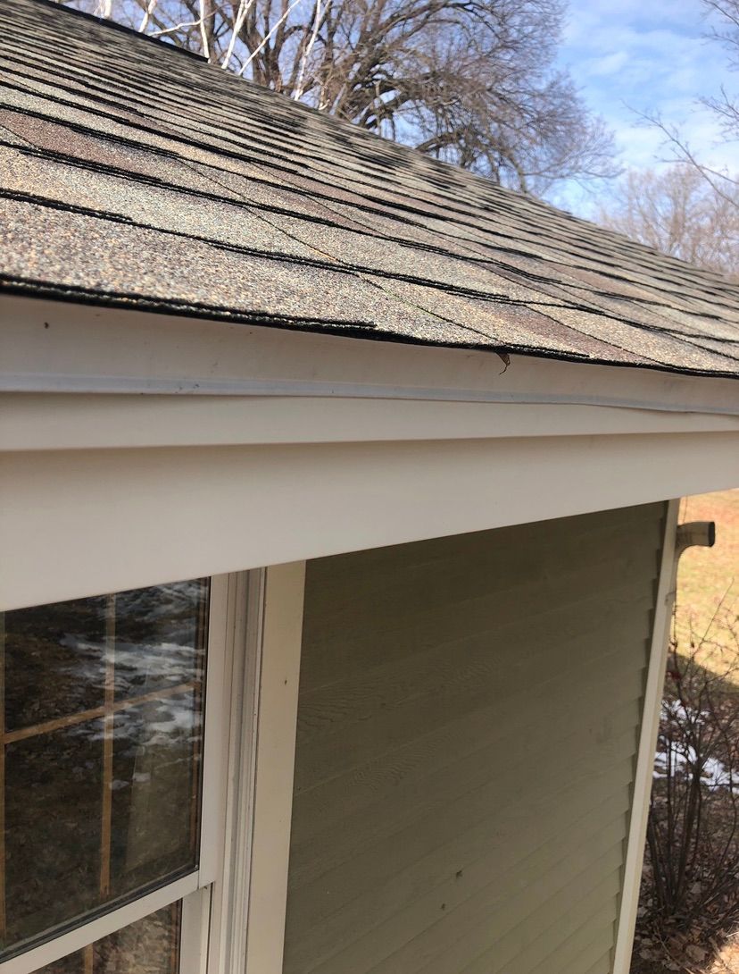 White house gutter system. Angled view of gutter, downspout, and roof trim against siding.