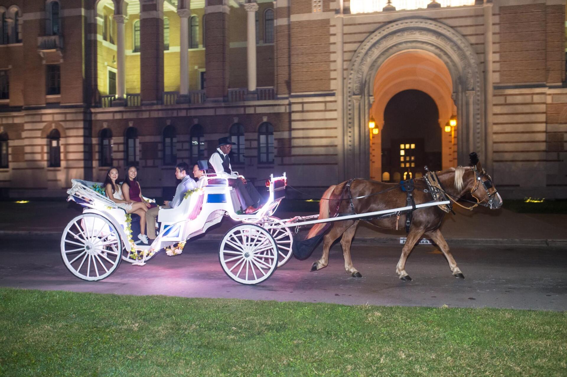 Holiday Carriage Rides – Houston, TX – Vintage Carriage Co.