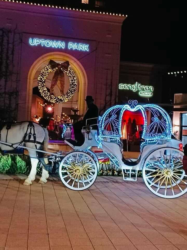 Holiday rides horse drawn carriage ride services — Houston, TX — Vintage Carriage Co. LLC