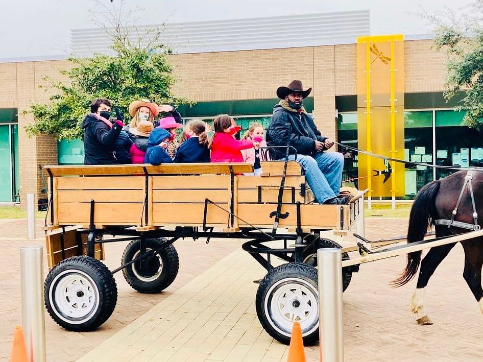 Hayrides horse drawn carriage ride services — Houston, TX — Vintage Carriage Co. LLC