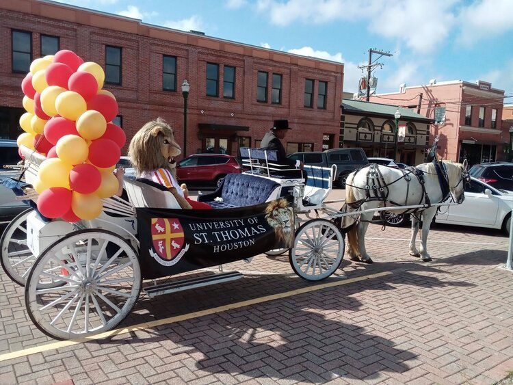 Events and parties horse drawn carriage ride services — Houston, TX — Vintage Carriage Co. LLC