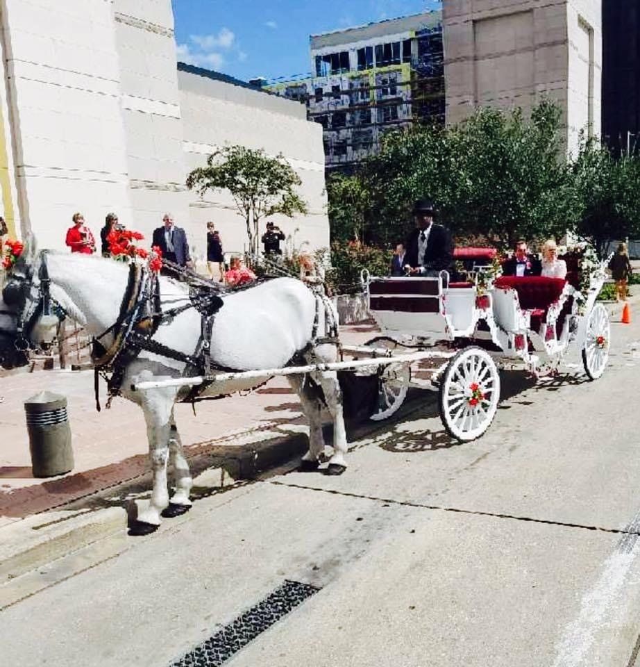 Weddings horse drawn carriage ride services — Houston, TX — Vintage Carriage Co. LLC