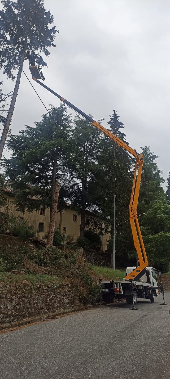 Una gru sta tagliando un albero sul ciglio della strada.