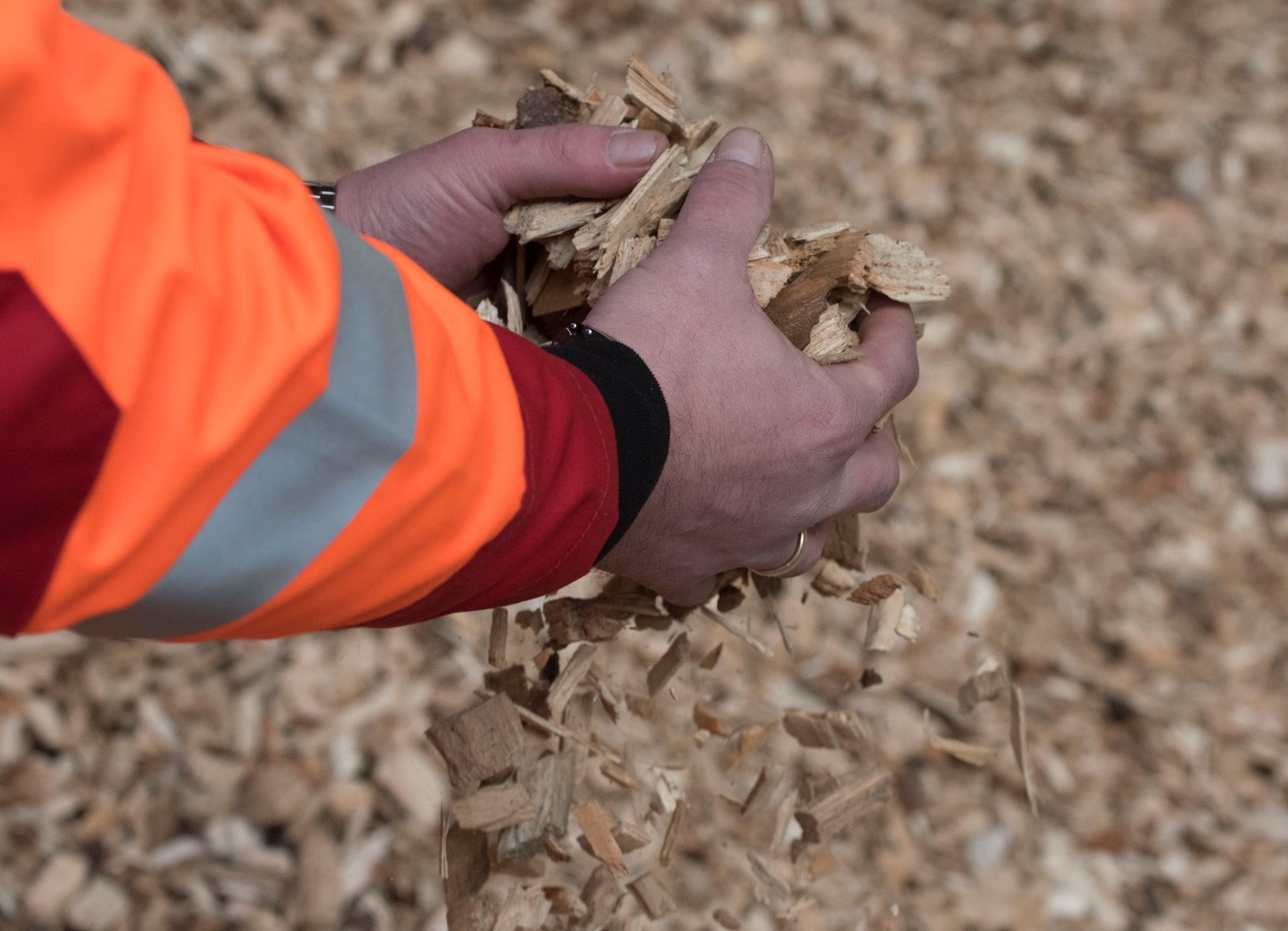 Una persona con una giacca arancione tiene in mano un mucchio di trucioli di legno.