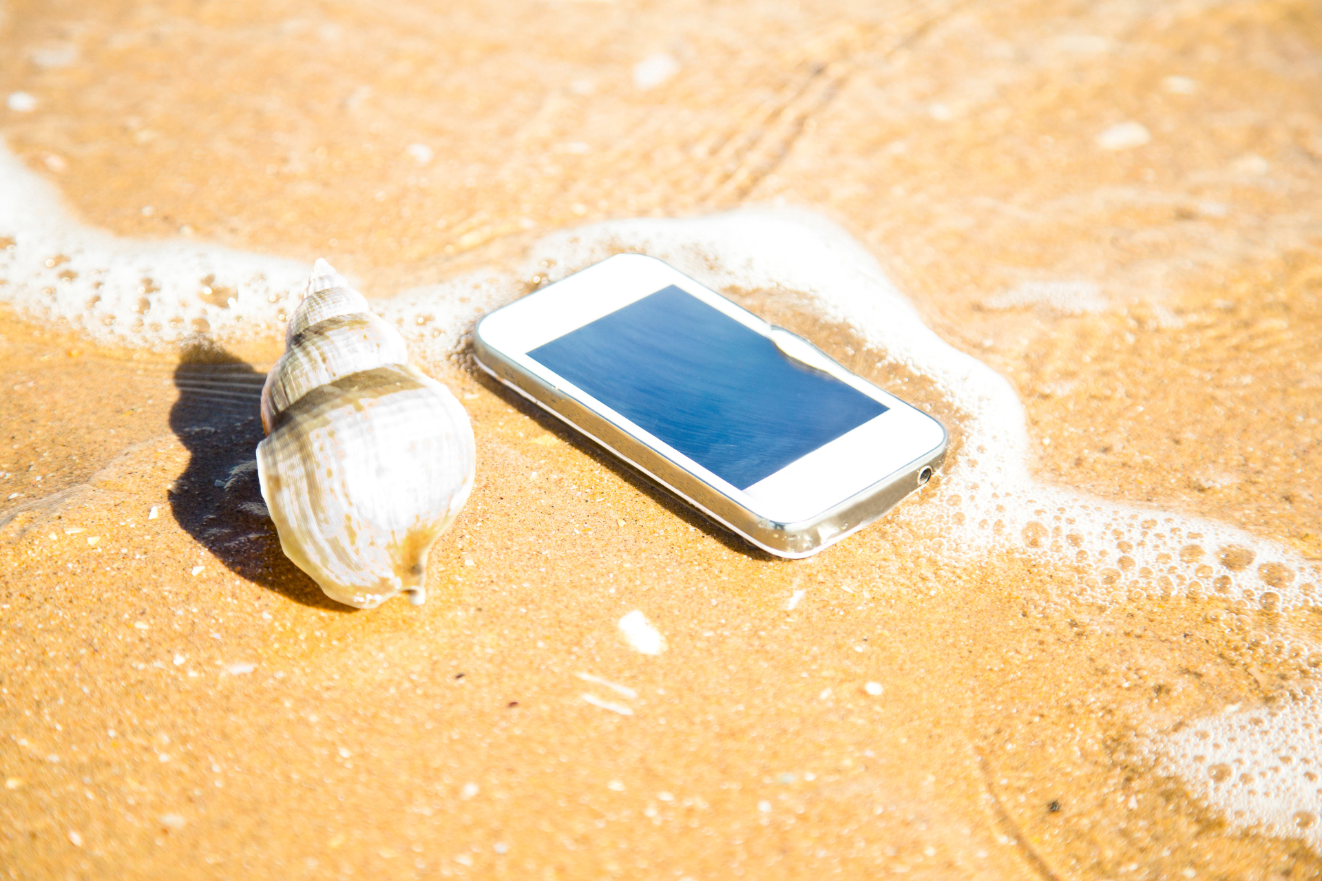 Water Damaged Phone