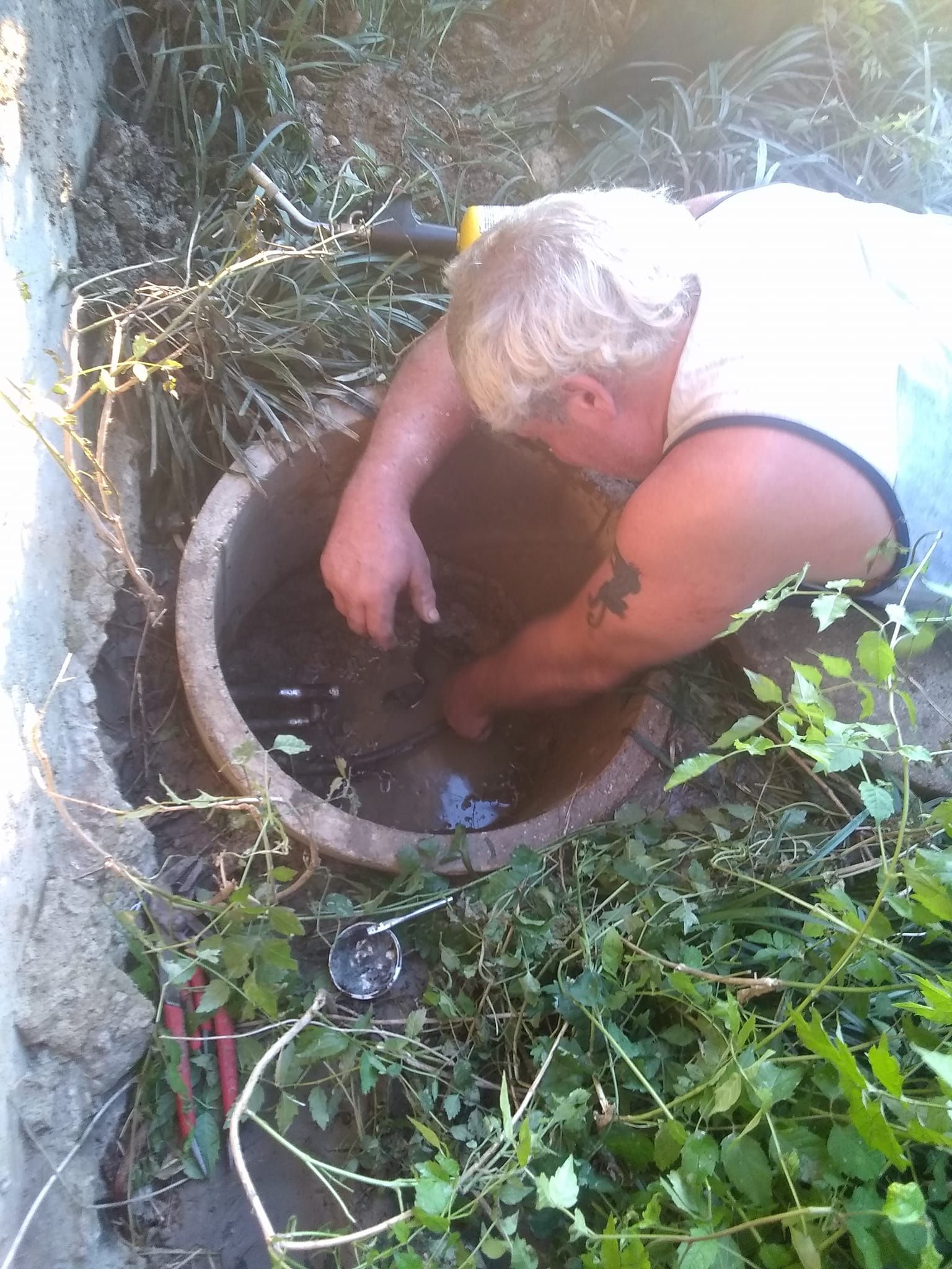 Person reaches into a round concrete pit surrounded by weeds and grass outdoors.