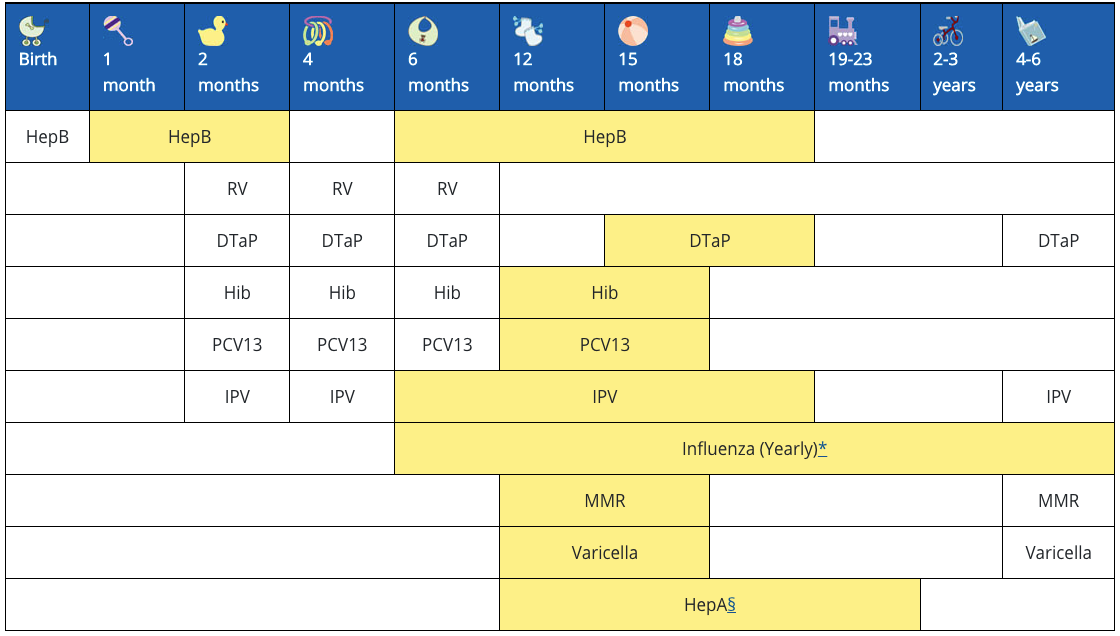 Vaccination schedule chart with vaccine names listed across a timeline showing recommended ages for doses.