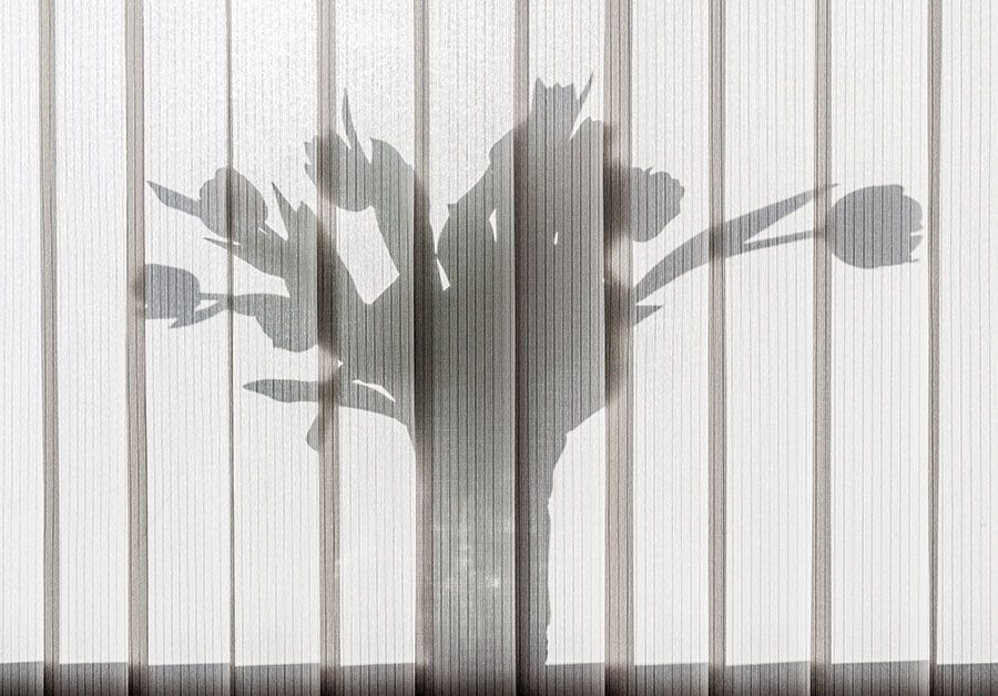 PERSIANAS GABÍN DE LA 25