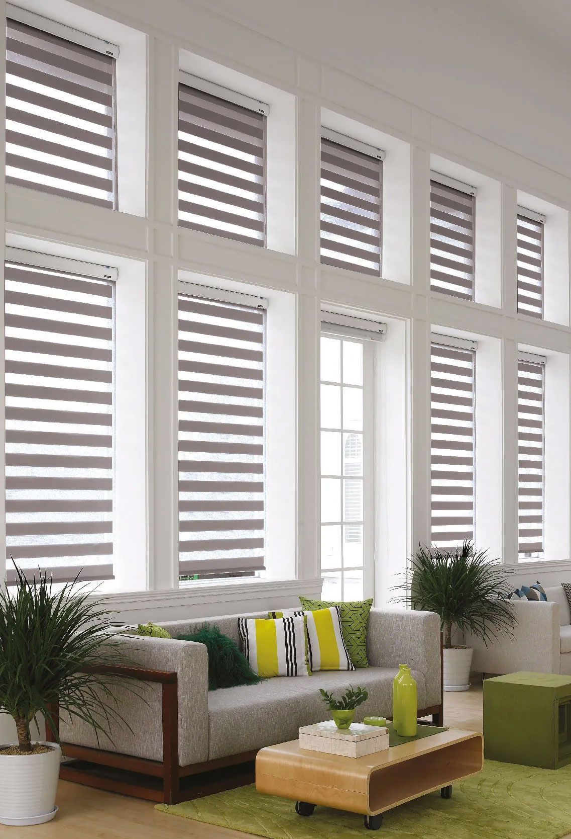 PERSIANAS GABÍN DE LA 25