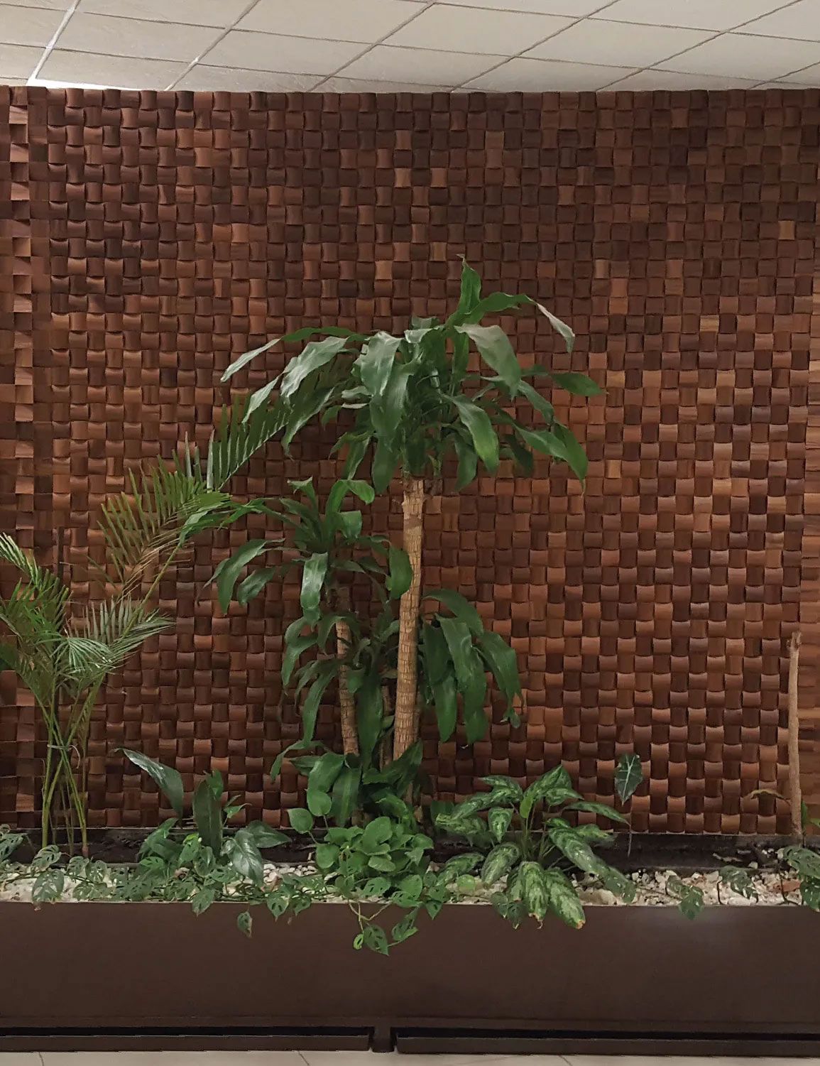 PERSIANAS GABÍN DE LA 25