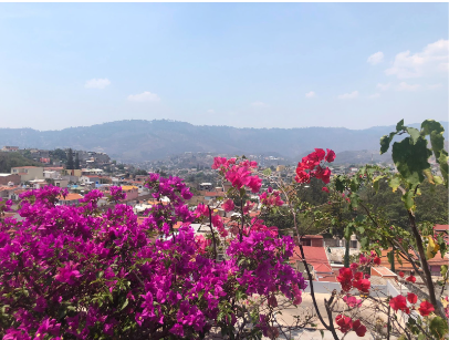 The view from our office building in Tegucigalpa, Honduras, showcasing the beauty of Honduras