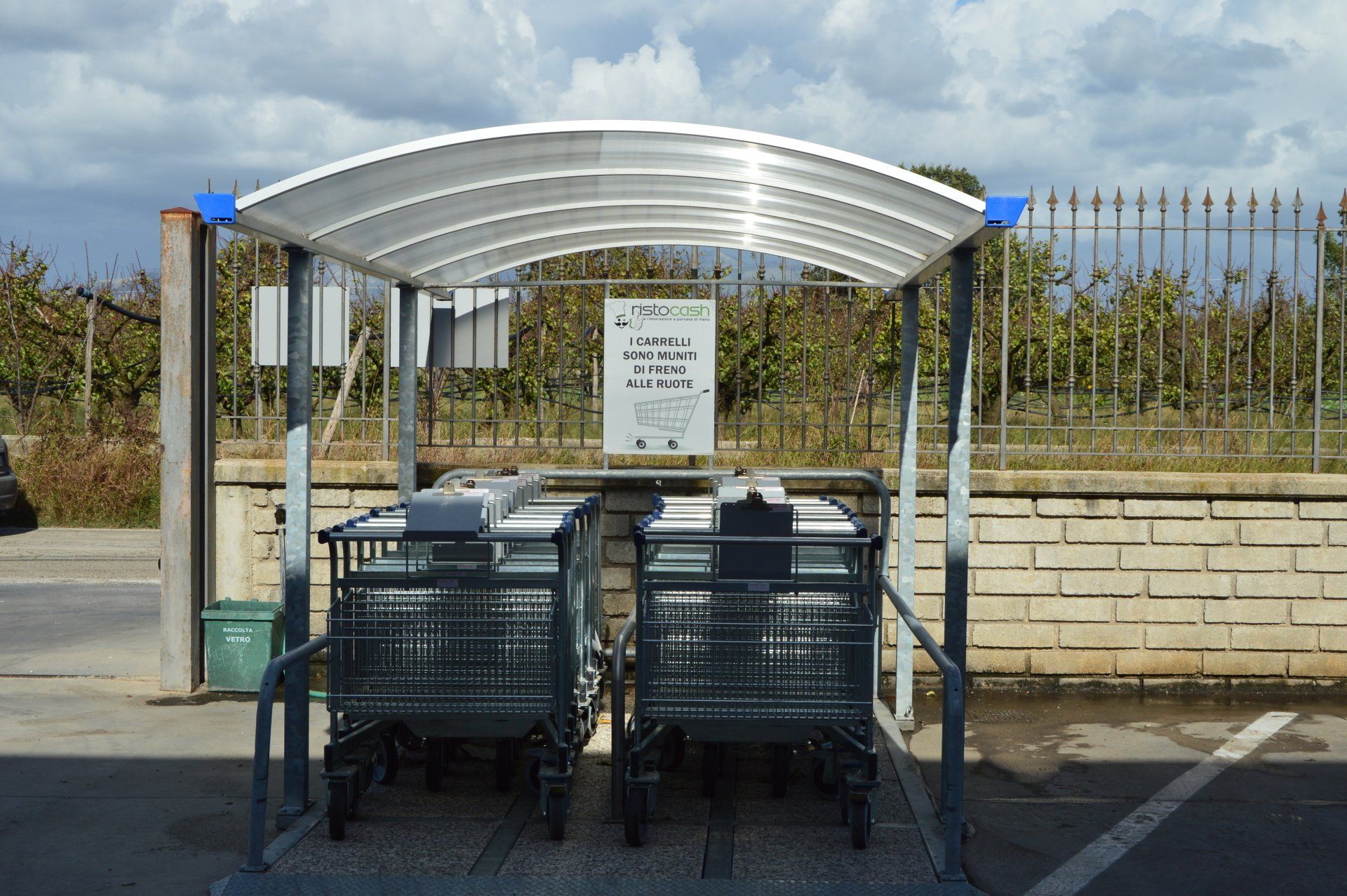 Carrelli della spesa