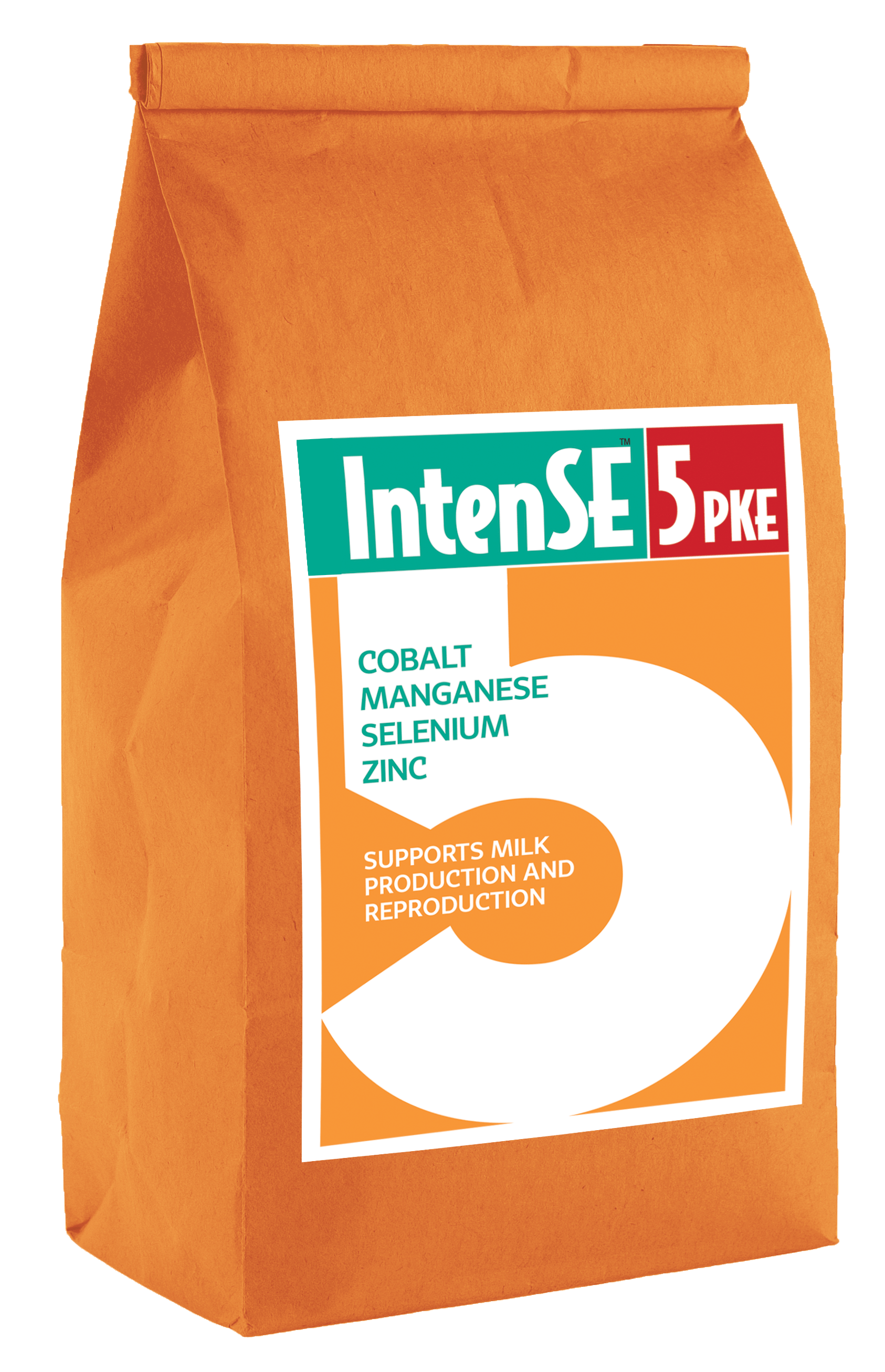 IntenSE 5 PKE