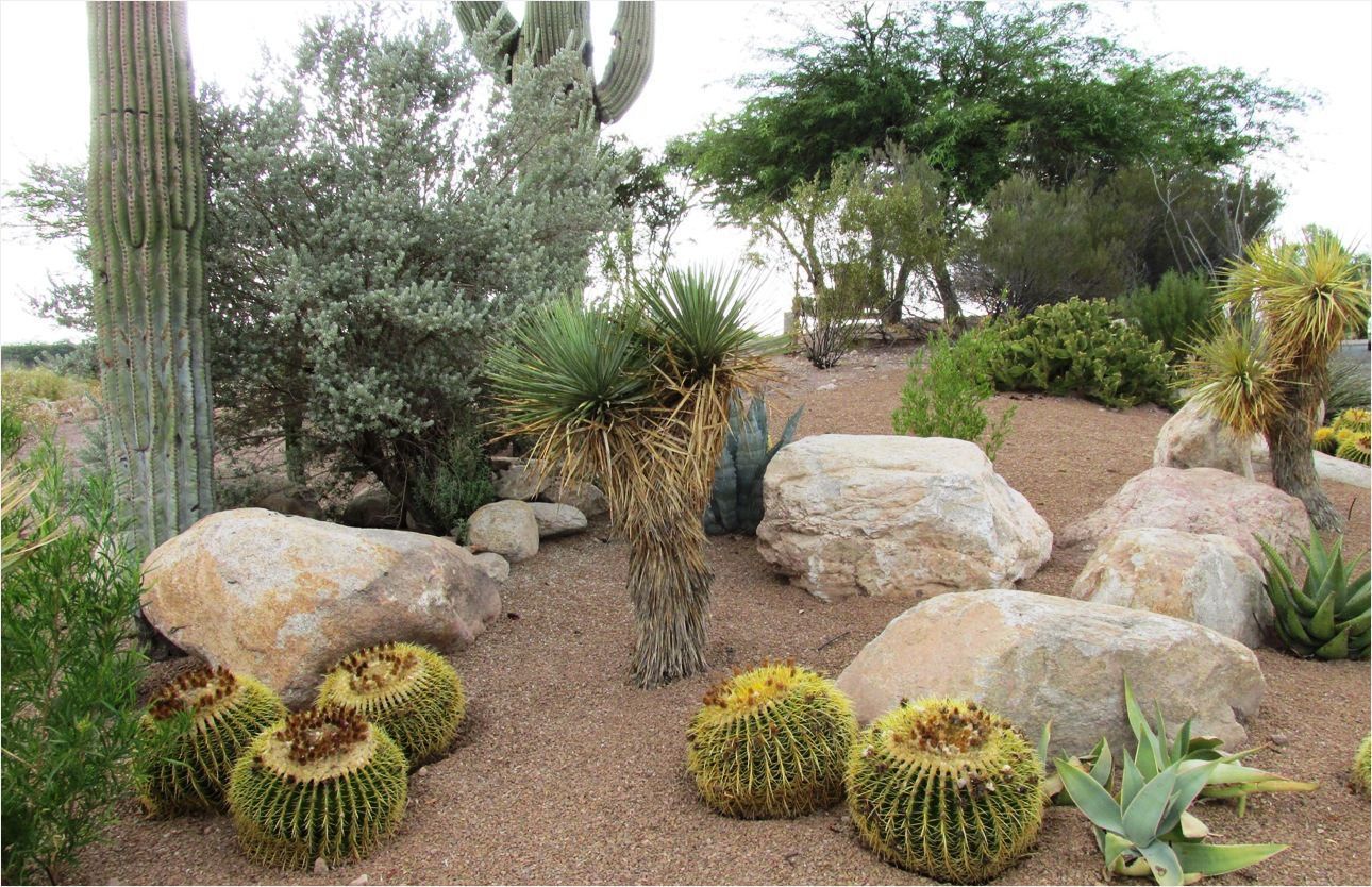 An aerial view of a house with palm trees in front of it in Cave Creek, Arizona