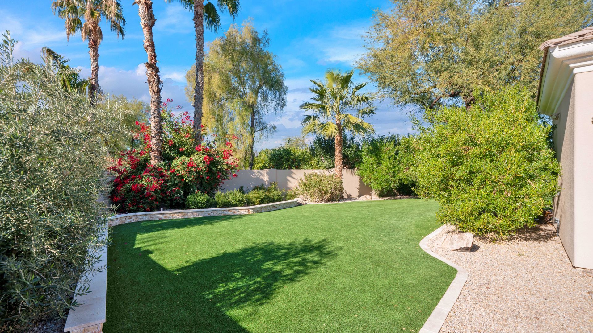A backyard with a lush green lawn and palm trees.