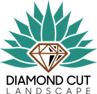 Diamond Cut Landscape logo featuring a diamond shape. custom landscaping and hardscaping services in Phoenix, Arizona