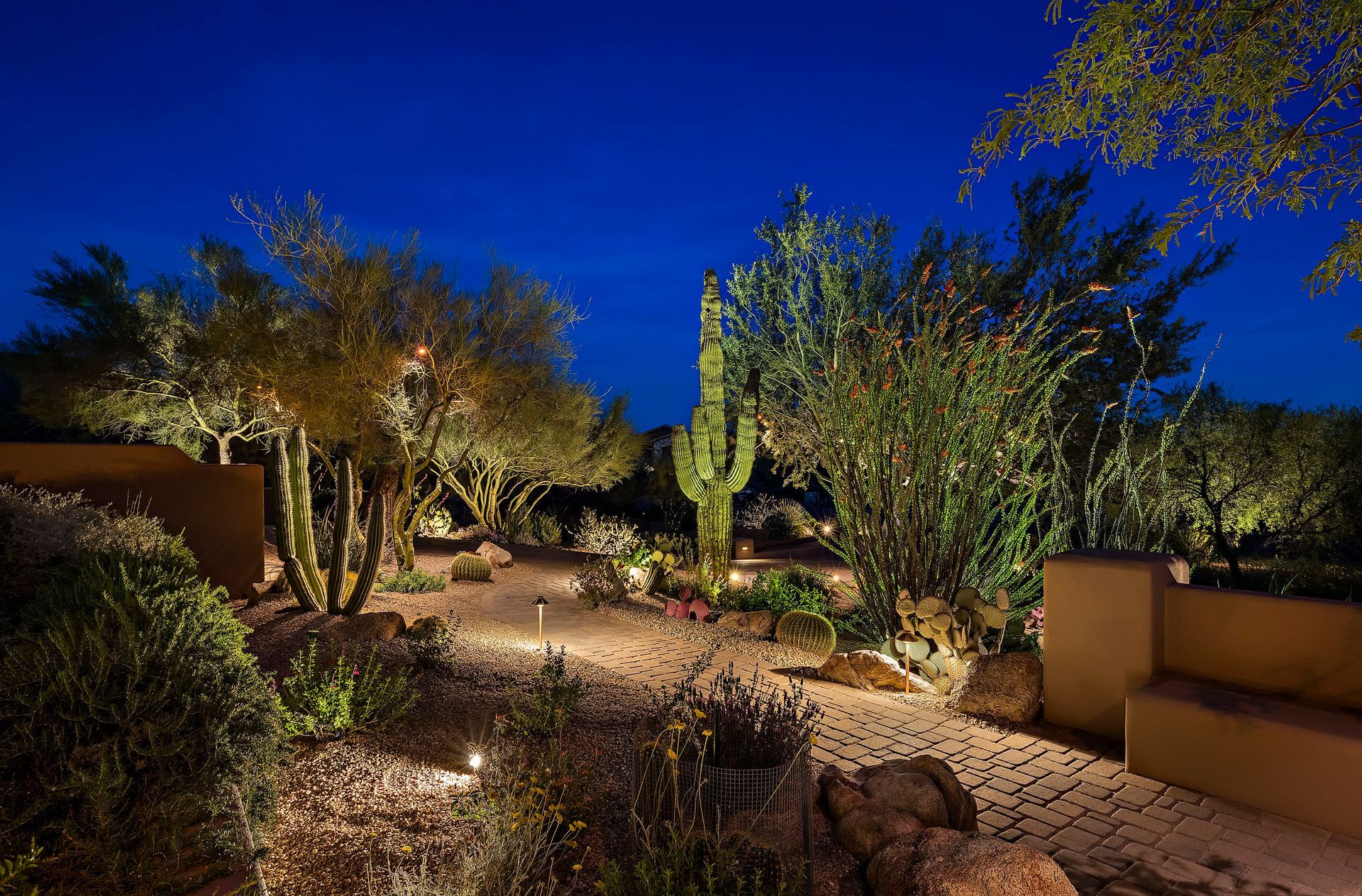 A garden with cactus and trees is lit up at night.