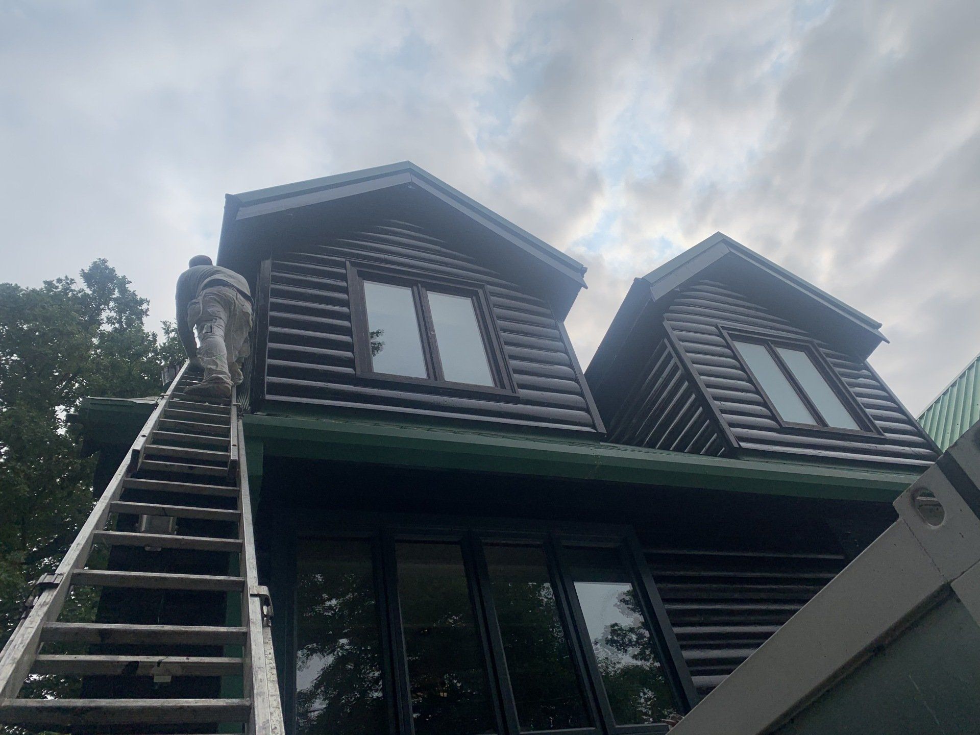 Tarbay Cattery, Old Windsor