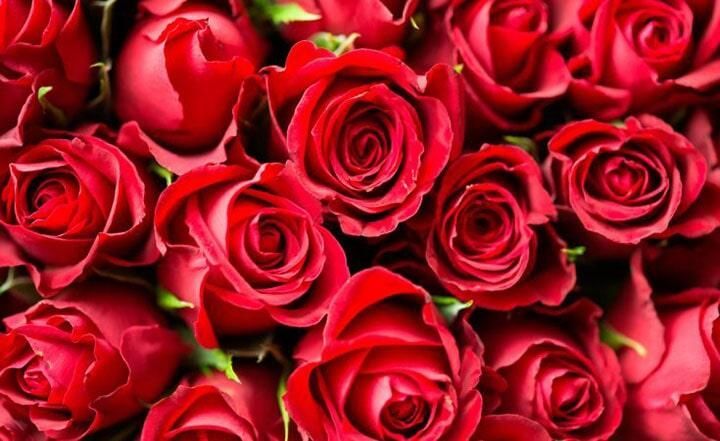 FLORERÍA KARLA-Arreglos florales personalizados de rosas rojas