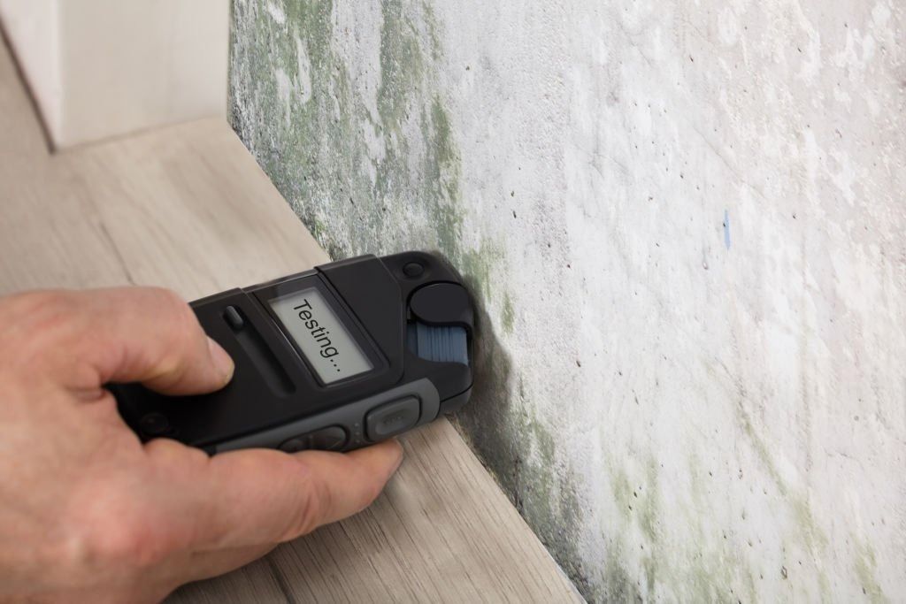 A man and a woman are standing in a living room looking at mold on the wall.