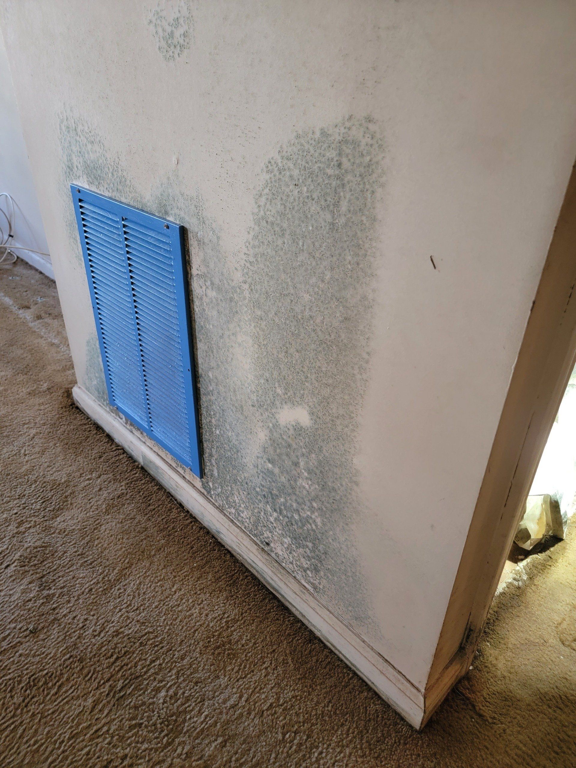 A white wall with black mold on it and a blue door.