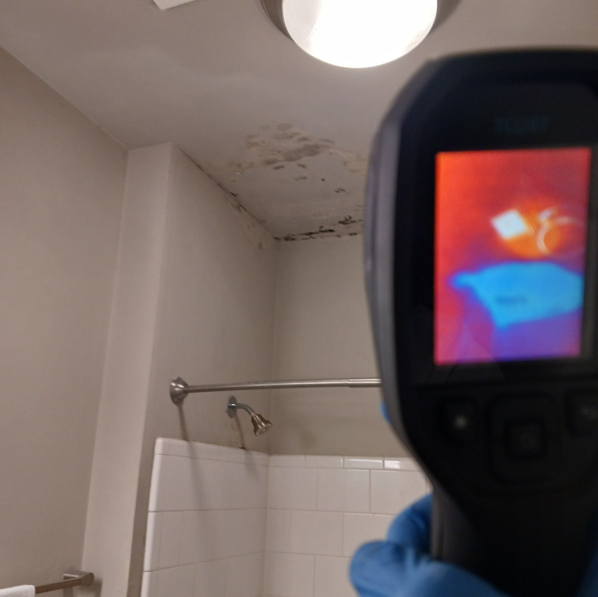mold thermal scan