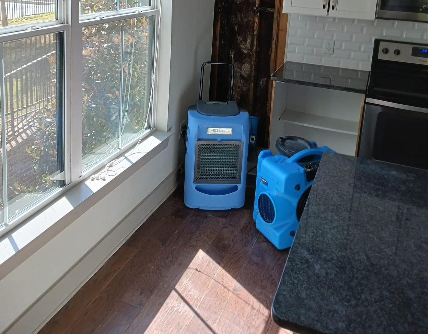 Blue air purifiers in a sunlit kitchen near a window and stove