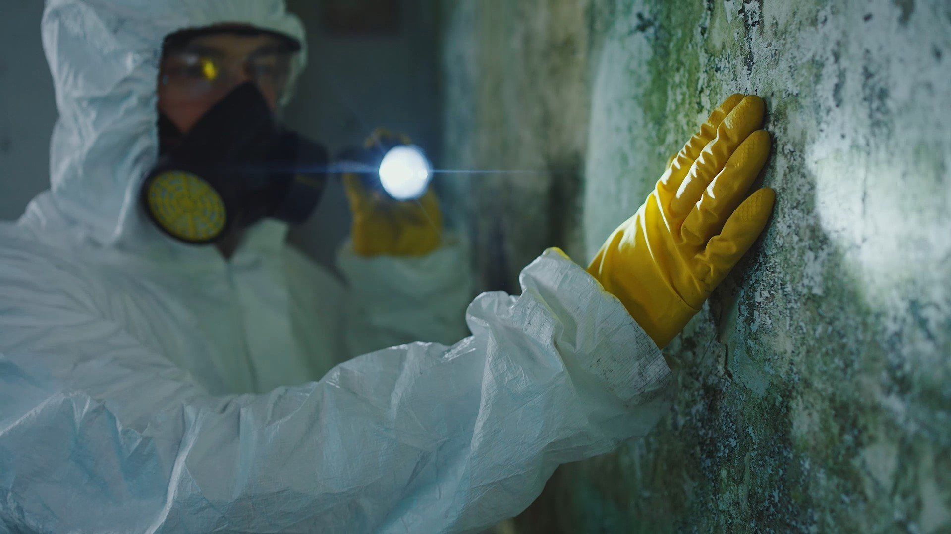 Person in protective suit examining mold on a wall with a flashlight.