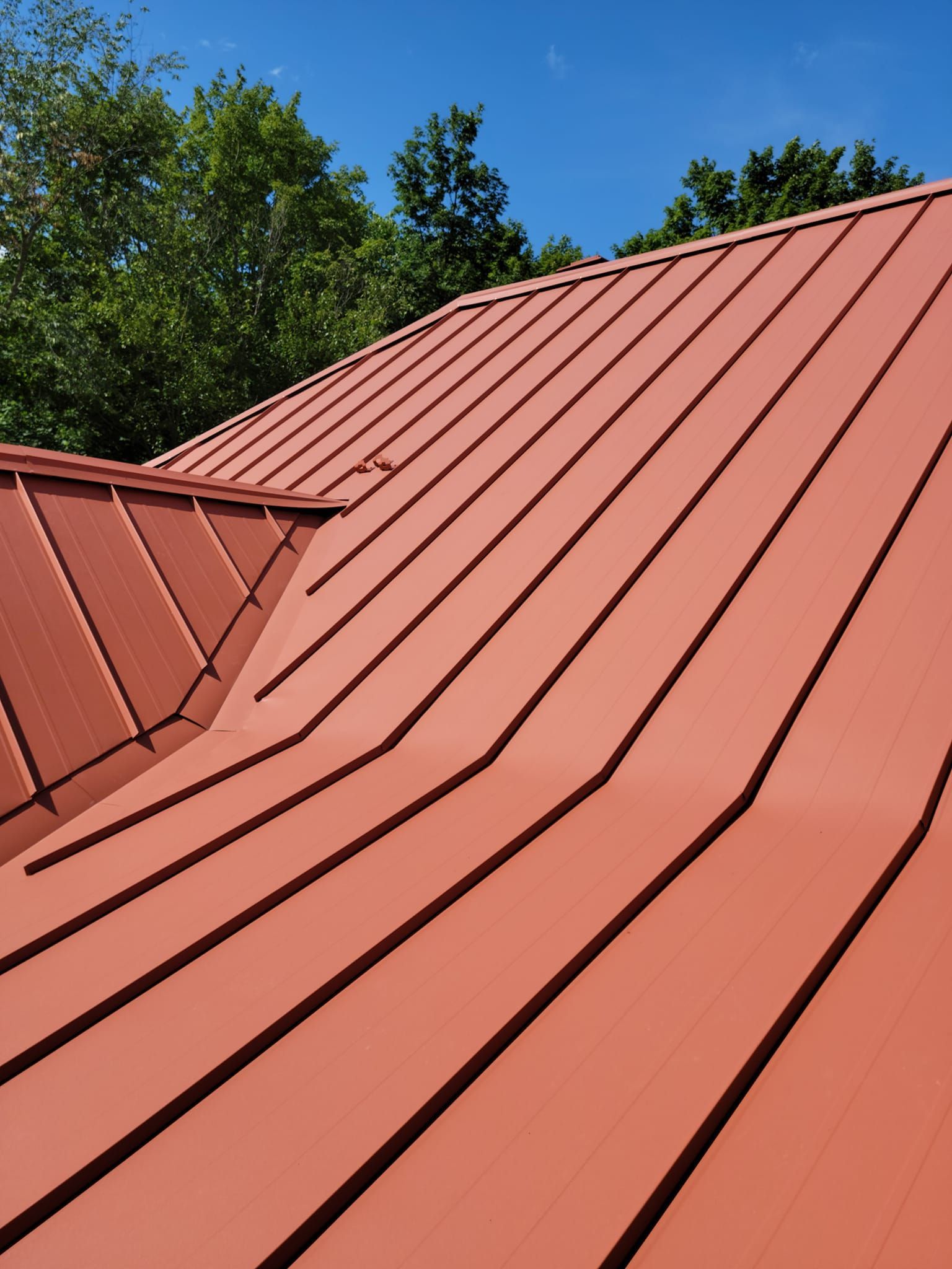 Un gros plan d'un toit en métal rouge avec des arbres en arrière-plan.