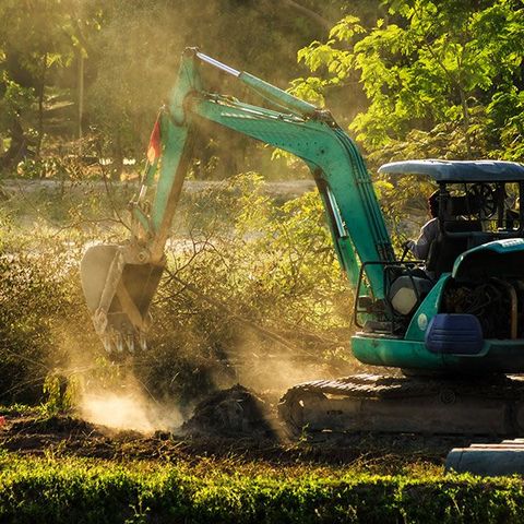 An Excavator — Mudgee Tree Services in Mudgee NSW