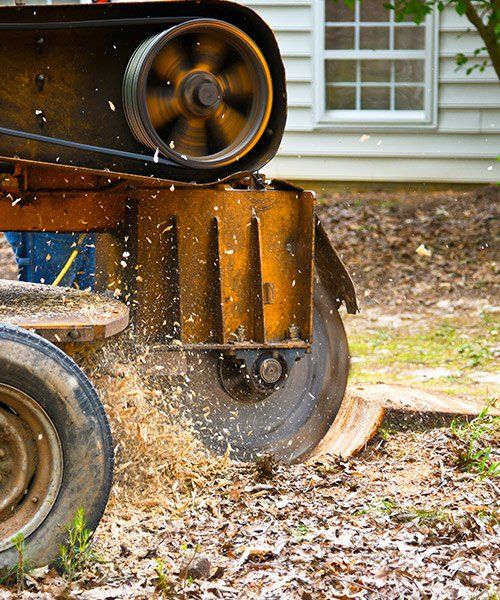 Stump Grinding Machine Removing a Stump — Mudgee Tree Services in Mudgee NSW