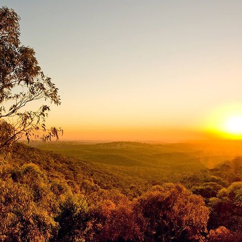 Sunset in the Bush — Mudgee Tree Services in Mudgee NSW