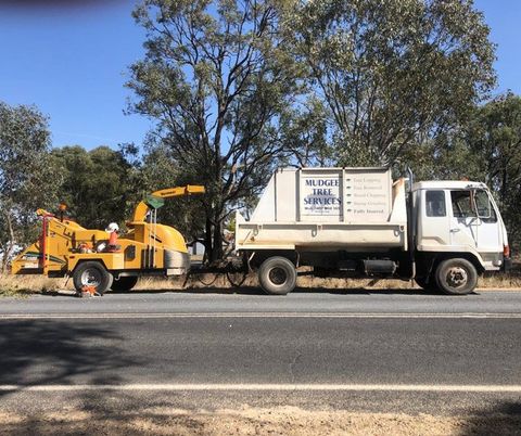 Service Trucks — Mudgee Tree Services in Mudgee NSW