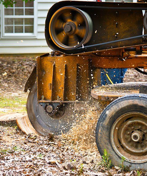 A Large Equipment — Mudgee Tree Services in Mudgee NSW