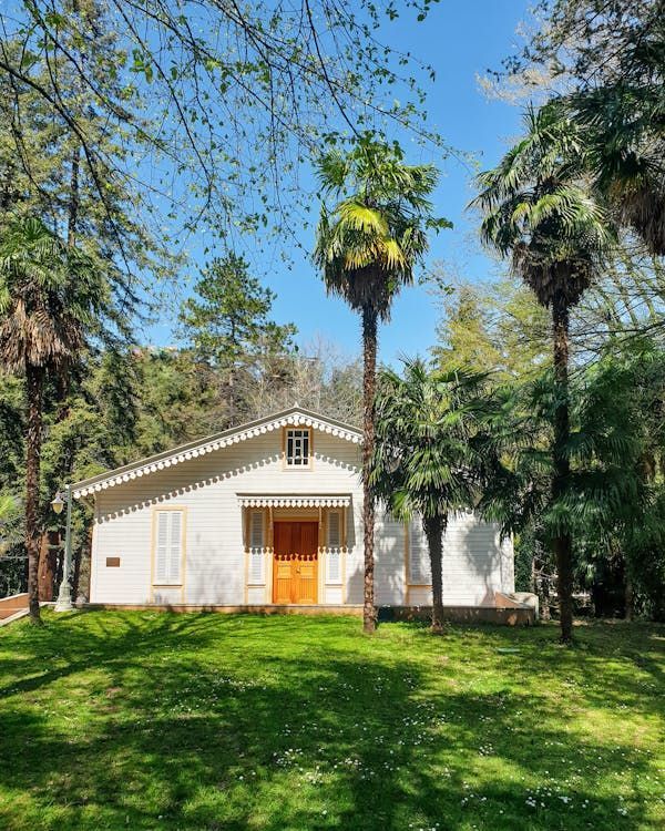 White building with brown door, surrounded by palm trees and greenery under a blue sky.