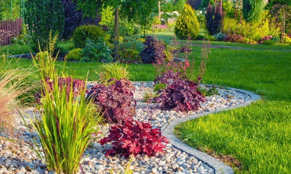 Colorful garden bed with burgundy plants and lush green grass.