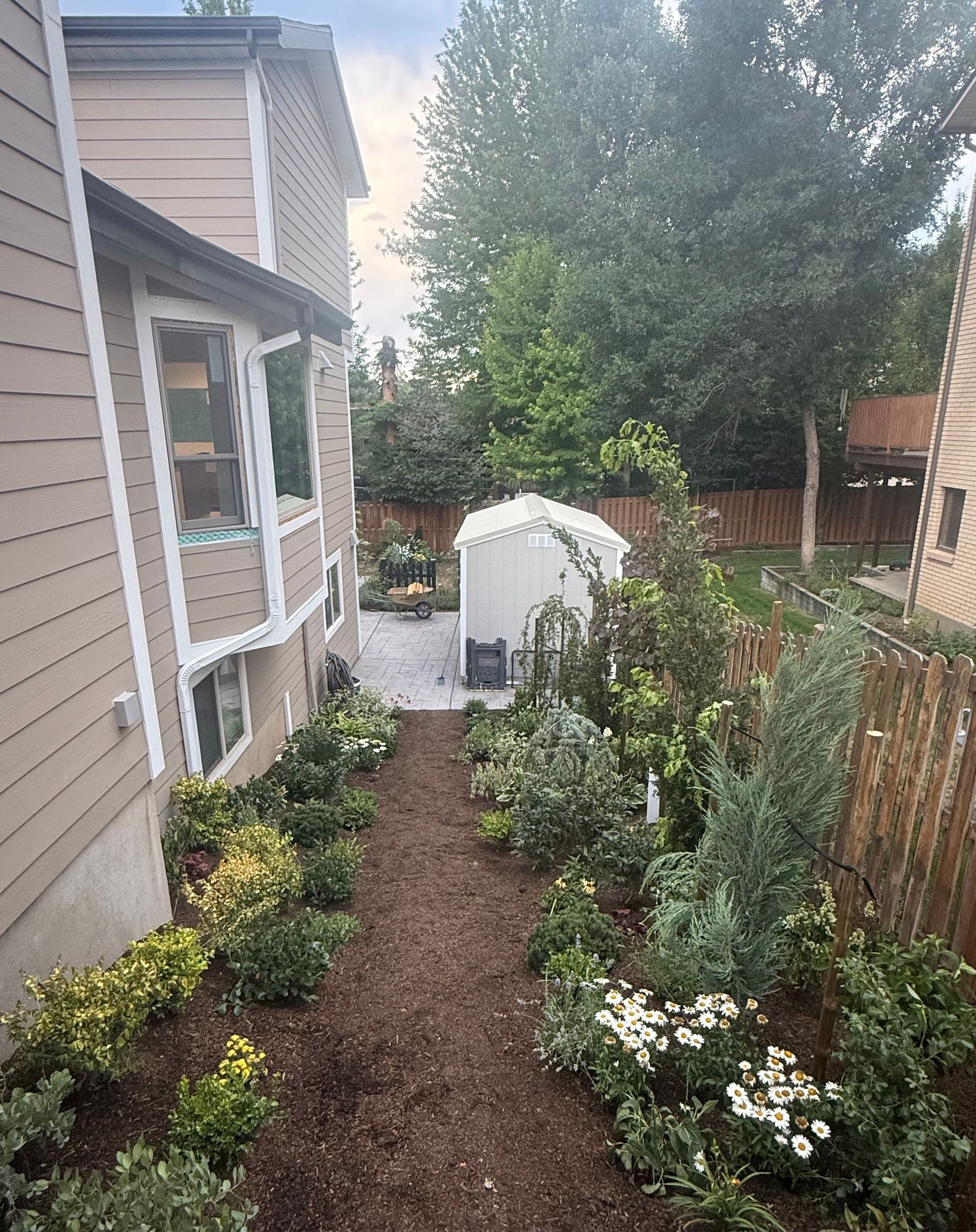 Narrow backyard with flower beds, shed, and brown mulch path between a house and wooden fence.