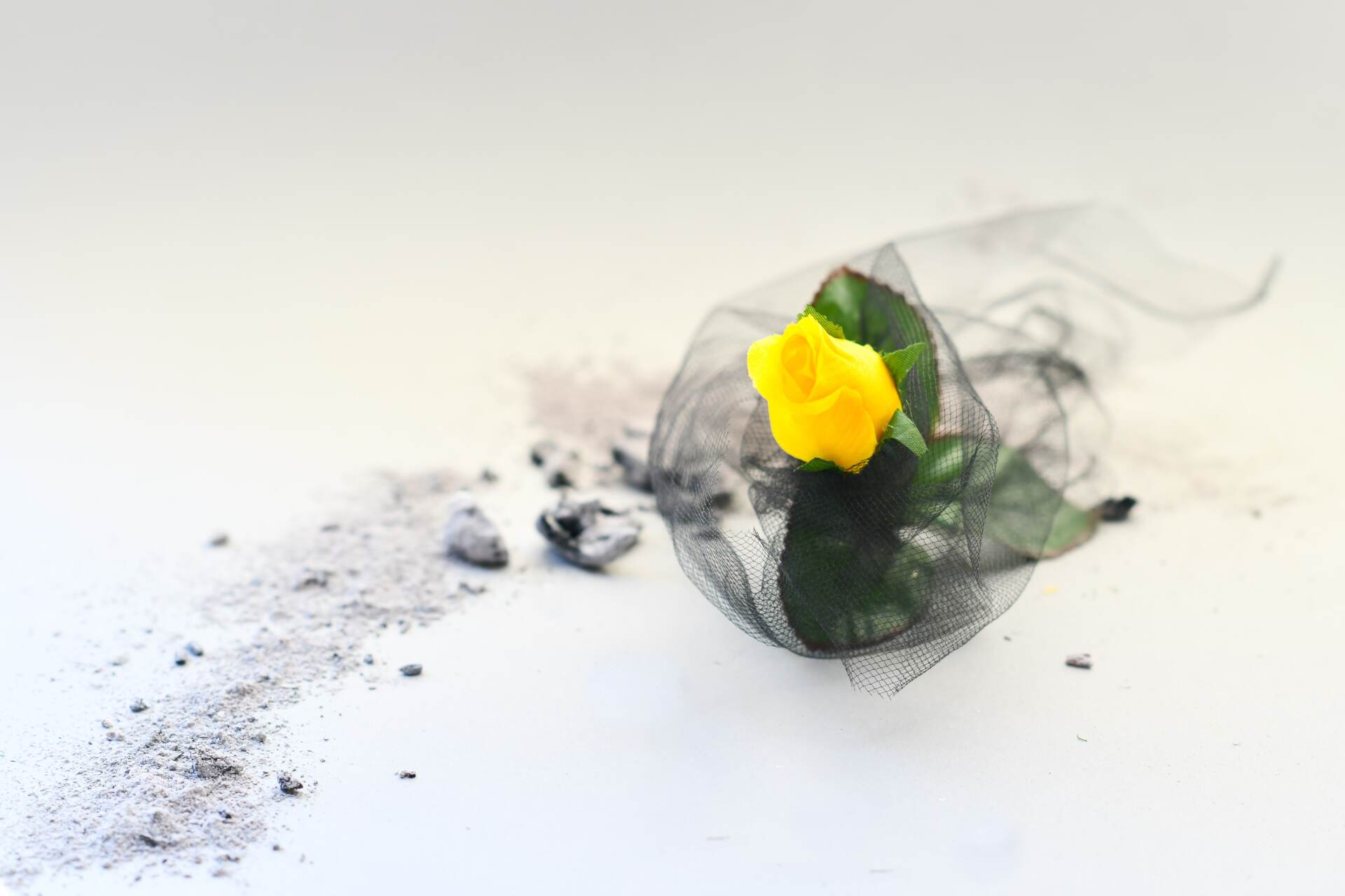 Photo cremation Sion