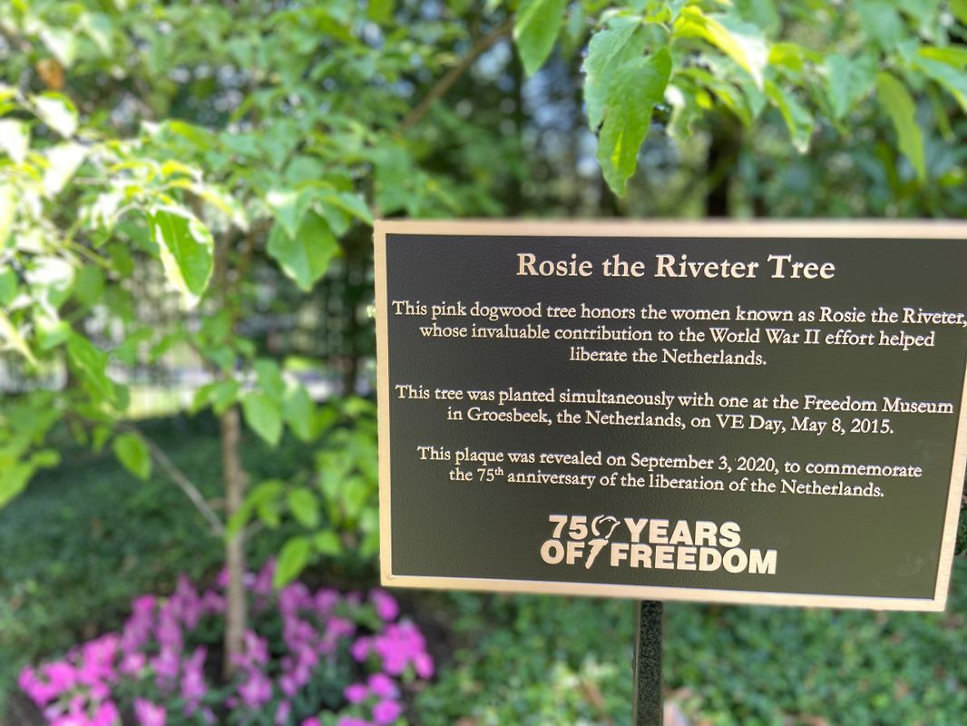 A plaque for rosie the riveter tree with purple flowers in the background