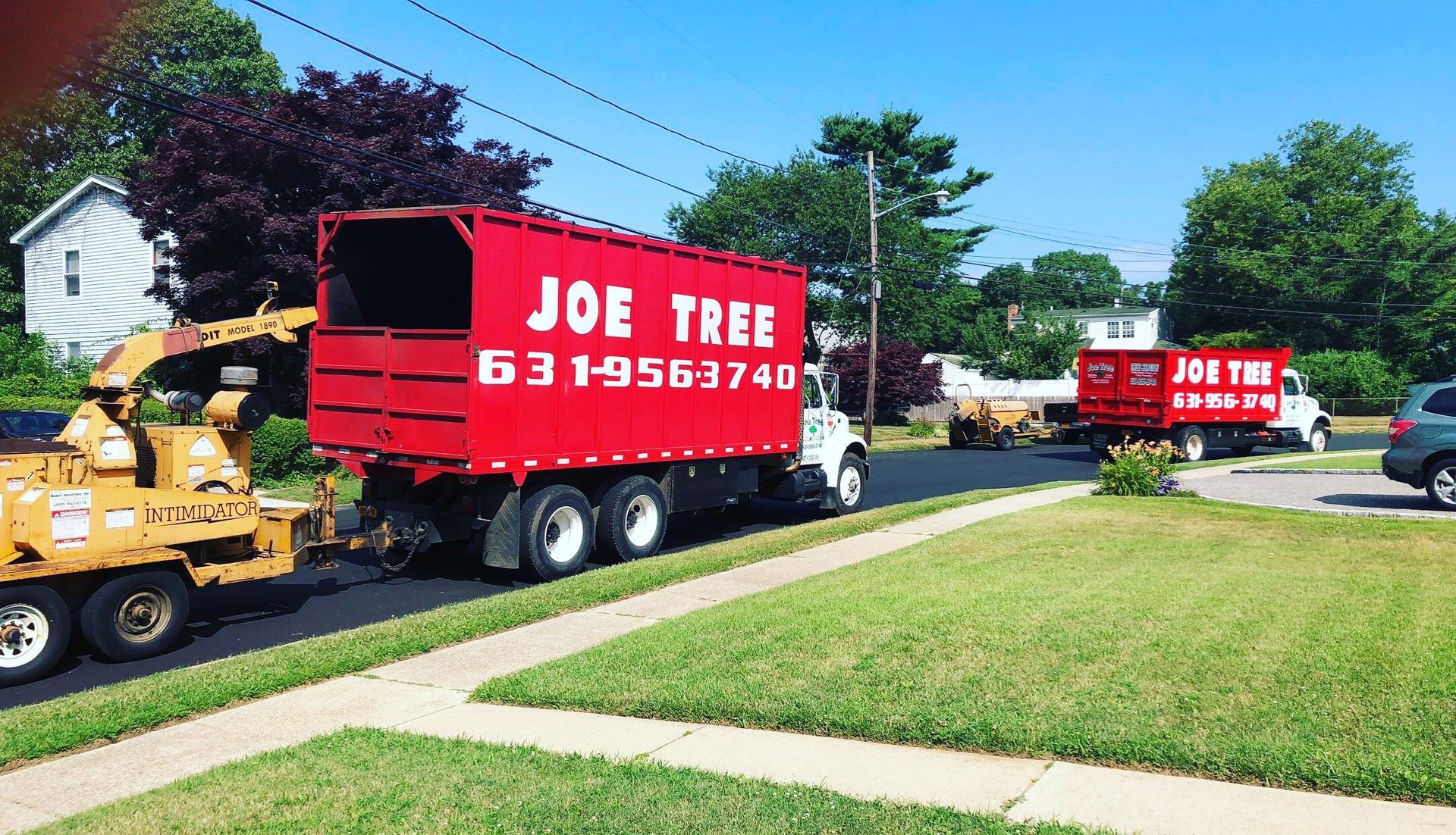 Joe Tree Service
