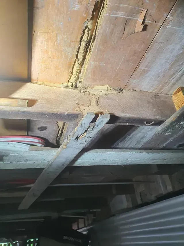 A Close Up of a Wooden Ceiling in a Garage — Superior Termite & Pest Control in Bundaberg, QLD