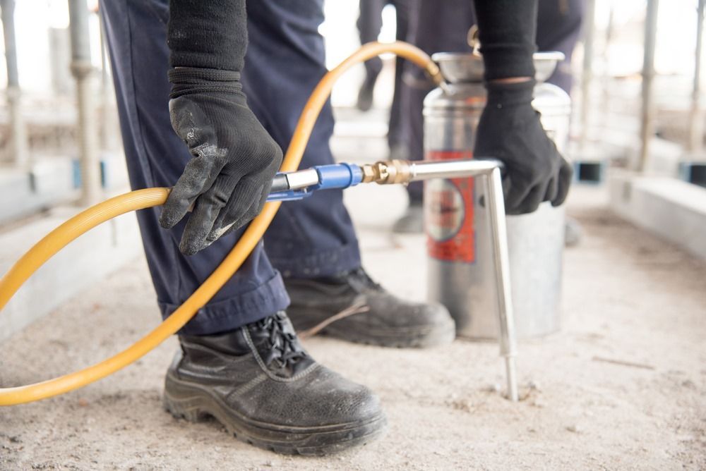 A Person is Using a Hose to Spray Something on the Ground — Superior Termite & Pest Control in Childers, QLD
